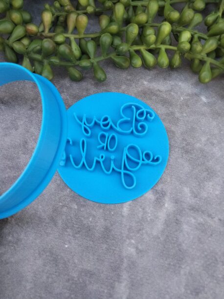 Boy or Girl? Gender Reveal Day Cookie Fondant Embosser Stamp & Cookie Cutter