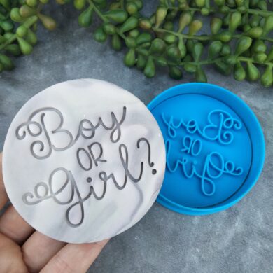 Boy or Girl? Gender Reveal Day Cookie Fondant Embosser Stamp & Cookie Cutter