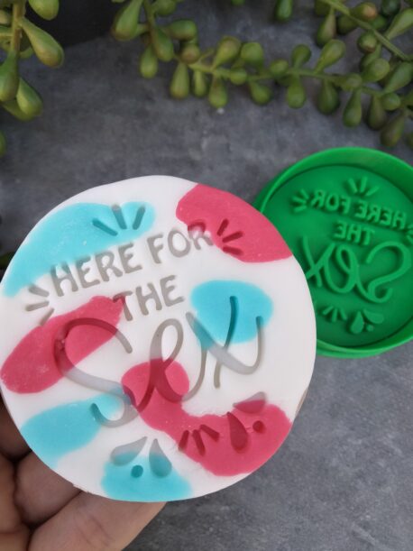 Here for the ... Gender Reveal Cookie Fondant Embosser Stamp & Cutter Baby Shower