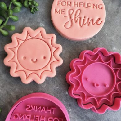 Thanks for helping me Shine / Teachers Gift Fondant Embosser Stamp and Sun Cookie Cutter and Stamp