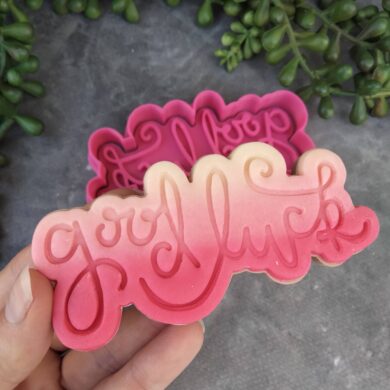 Good Luck Text Plaque Fondant Embosser Imprint Stamp and Cookie Cutter