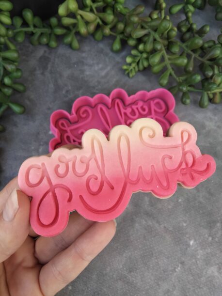 Good Luck Text Plaque Fondant Embosser Imprint Stamp and Cookie Cutter