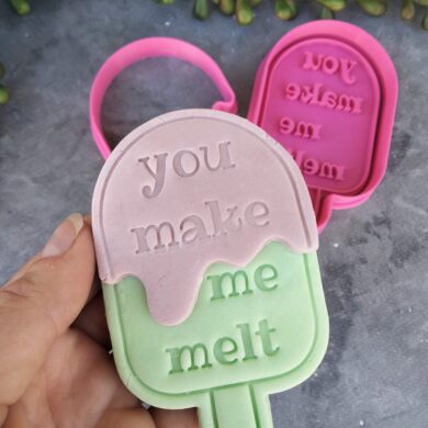 You make me melt Popsicle Cookie Cutter and Fondant Embosser Set Valentine's Day
