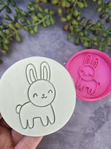 Cute Easter Bunny Cookie Fondant Stamp Embosser and Cutter