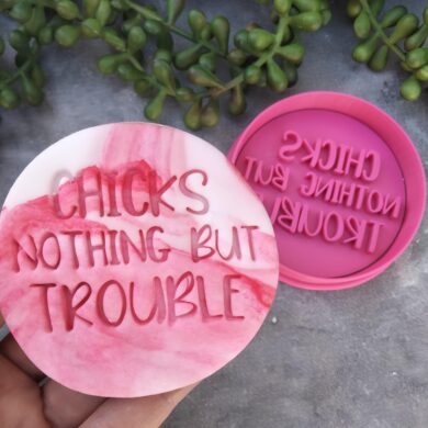 Chicks nothing but Trouble Cookie Fondant Stamp Embosser and Cookie Cutter - Easter