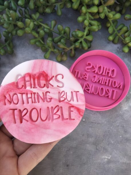 Chicks nothing but Trouble Cookie Fondant Stamp Embosser and Cookie Cutter - Easter