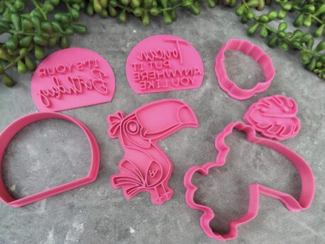 Toucan Cookie Cutter and Fondant Stamp Embosser Set – Naughty Birthday Present