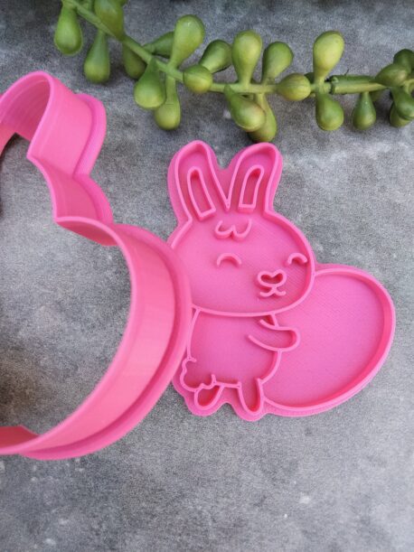 Bunny hugging an egg Cookie Fondant Embosser Stamp and Cookie Cutter