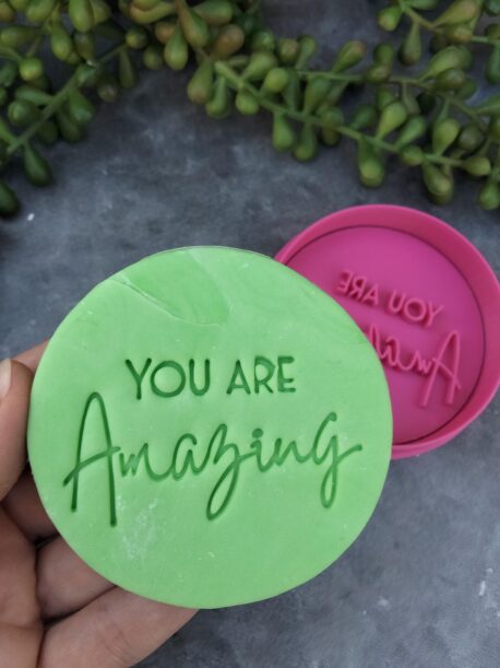You are Amazing Cookie Fondant Embosser Imprint Stamp and Cutter