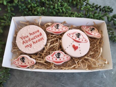 You have Abducted my Heart / Alien Abduction Raised Cookie Stamps and Cookie Cutter Set Valentines Day