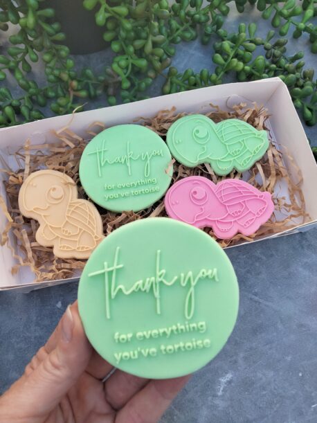 Thankyou for everything you've tortoise Cookie Stamp Set with Raised Detail Teachers Gift Teacher Appreciation