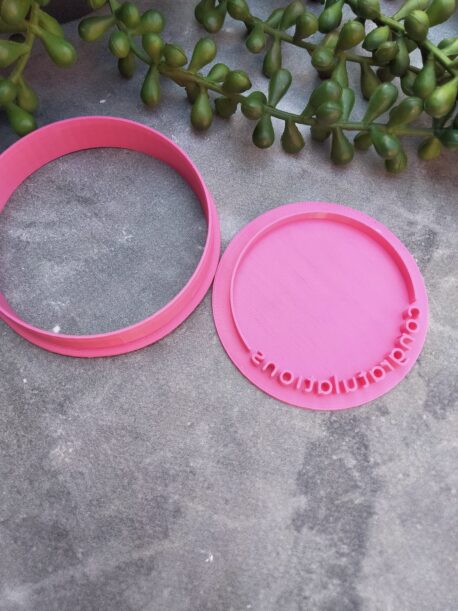 DIY Congratulations Cookie Fondant Embosser Stamp and Cutter